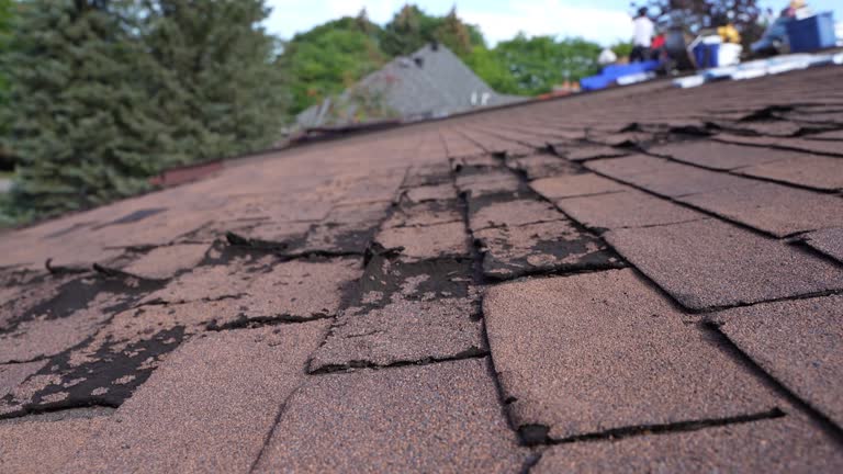 Best Hot Roofs  in Mayfield Heights, OH