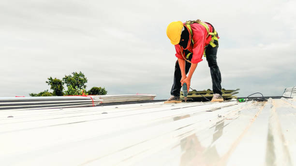 Best Gutter Installation and Repair  in Mayfield Heights, OH